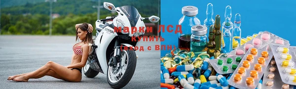 ECSTASY Бородино