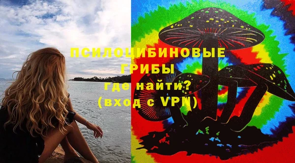 прущая мука Богородицк