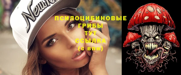 прущая мука Богородицк